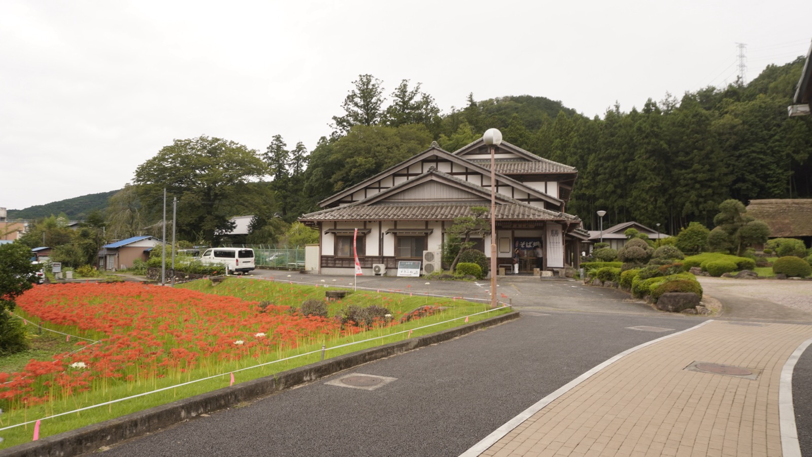 道路沿いの斜面一面に咲く赤い彼岸花。奥に瓦屋根の大きな和風の建物と山が見える
