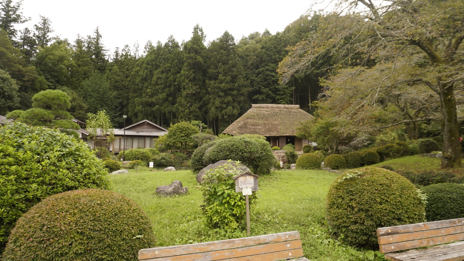 手入れされた丸い植え込みと芝生の奥に建つ茅葺き屋根の家屋。背後は杉林