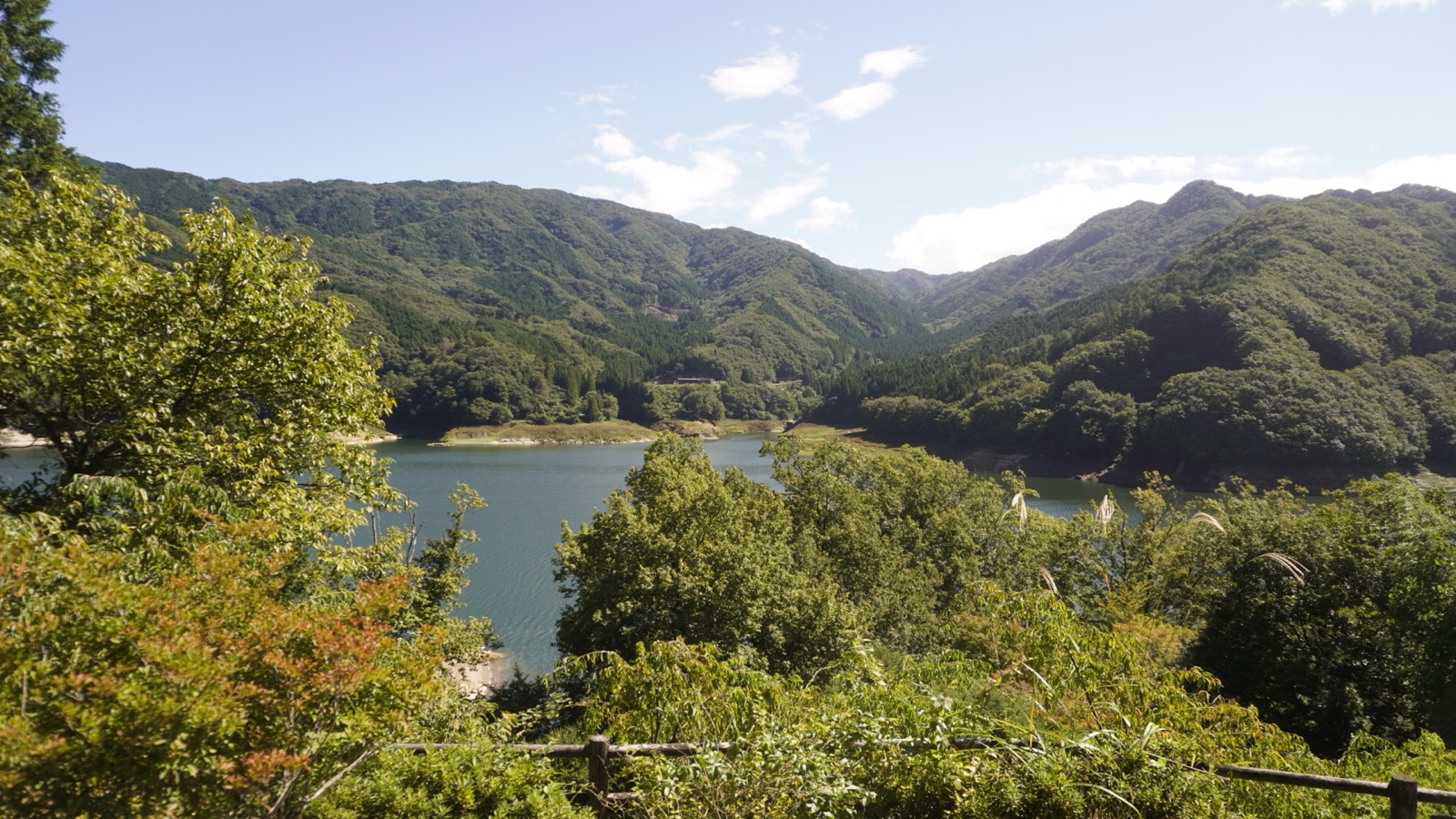 裏口を出た先から見た草木湖と、山の斜面の緑。空気がきれい